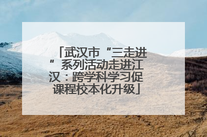 武汉市“三走进”系列活动走进江汉：跨学科学习促课程校本化升级