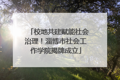 校地共建赋能社会治理！淄博市社会工作学院揭牌成立