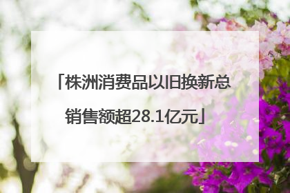 株洲消费品以旧换新总销售额超28.1亿元