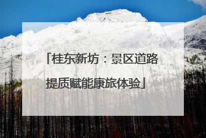 桂东新坊：景区道路提质赋能康旅体验