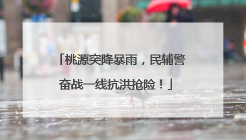 桃源突降暴雨，民辅警奋战一线抗洪抢险！