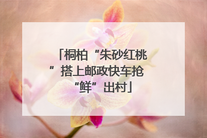 桐柏“朱砂红桃”搭上邮政快车抢“鲜”出村