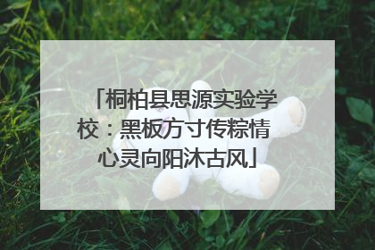 桐柏县思源实验学校：黑板方寸传粽情 心灵向阳沐古风