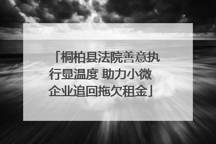 桐柏县法院善意执行显温度 助力小微企业追回拖欠租金