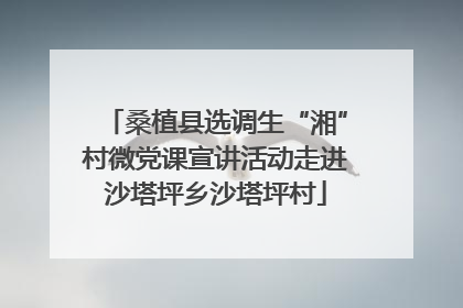 桑植县选调生“湘”村微党课宣讲活动走进沙塔坪乡沙塔坪村