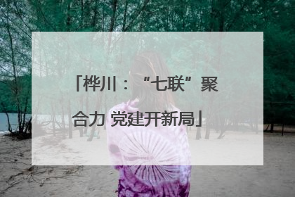 桦川：“七联”聚合力 党建开新局