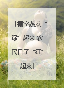棚室蔬菜“绿”起来 农民日子“红”起来