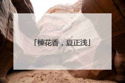 楝花香，夏正浅