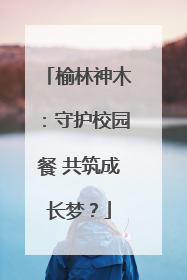 榆林神木：守护校园餐 共筑成长梦？