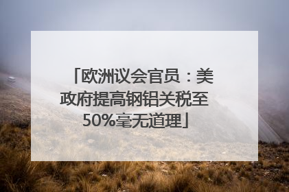 欧洲议会官员：美政府提高钢铝关税至50%毫无道理