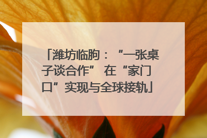 潍坊临朐：“一张桌子谈合作” 在“家门口”实现与全球接轨