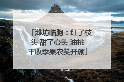 潍坊临朐：红了枝头 甜了心头 油桃丰收季果农笑开颜