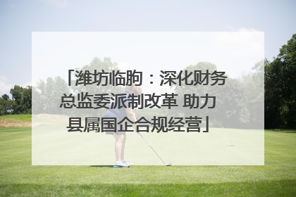 潍坊临朐：深化财务总监委派制改革 助力县属国企合规经营