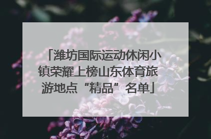 潍坊国际运动休闲小镇荣耀上榜山东体育旅游地点“精品”名单