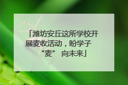 潍坊安丘这所学校开展麦收活动，盼学子 “麦” 向未来