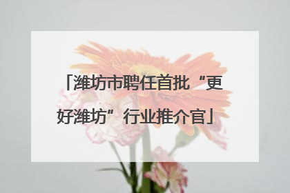 潍坊市聘任首批“更好潍坊”行业推介官