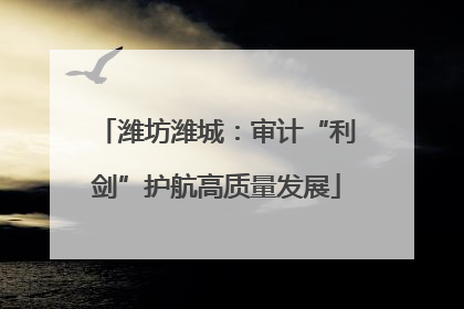 潍坊潍城：审计“利剑”护航高质量发展