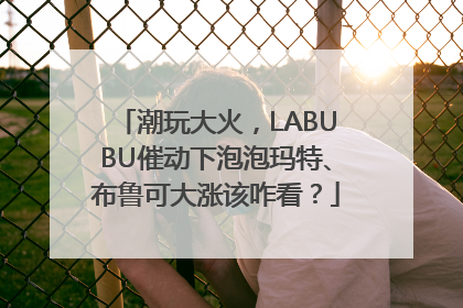 潮玩大火，LABUBU催动下泡泡玛特、布鲁可大涨该咋看？