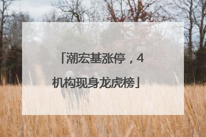 潮宏基涨停，4机构现身龙虎榜
