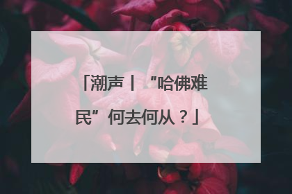 潮声丨“哈佛难民”何去何从？