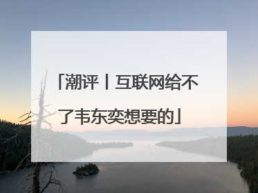 潮评丨互联网给不了韦东奕想要的