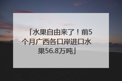 水果自由来了！前5个月广西各口岸进口水果56.8万吨