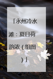 永州冷水滩：夏日荷韵浓（组图）