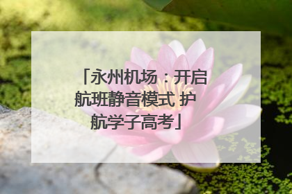 永州机场：开启航班静音模式 护航学子高考