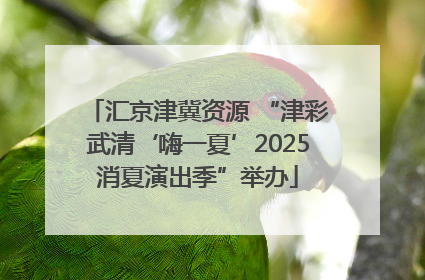 汇京津冀资源 “津彩武清‘嗨一夏’2025消夏演出季”举办