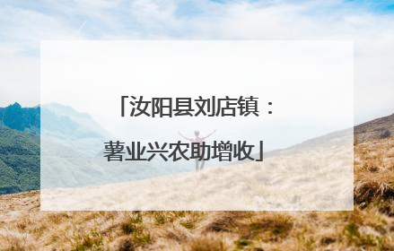 汝阳县刘店镇：薯业兴农助增收