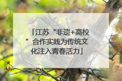江苏“非遗+高校”合作实践为传统文化注入青春活力