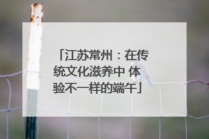 江苏常州：在传统文化滋养中 体验不一样的端午
