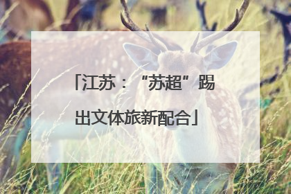 江苏：“苏超”踢出文体旅新配合