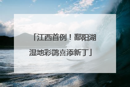 江西首例！鄱阳湖湿地彩鹮喜添新丁