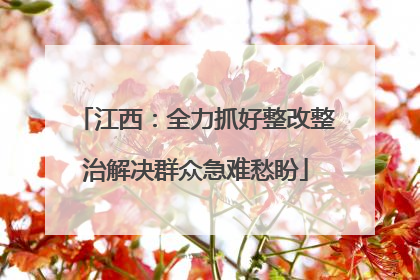 江西：全力抓好整改整治解决群众急难愁盼