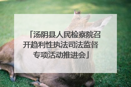 汤阴县人民检察院召开趋利性执法司法监督专项活动推进会