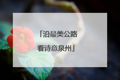 沿最美公路 看诗意泉州