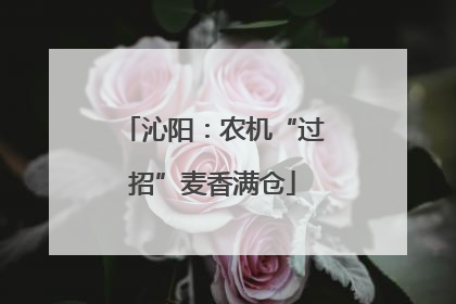 沁阳：农机“过招”麦香满仓