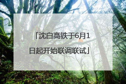 沈白高铁于6月1日起开始联调联试