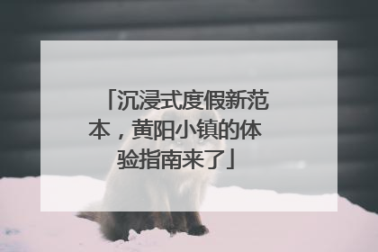 沉浸式度假新范本，黄阳小镇的体验指南来了