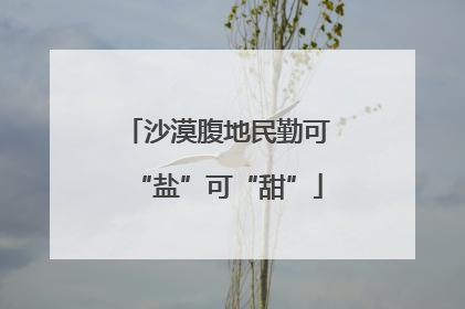 沙漠腹地民勤可“盐”可“甜”