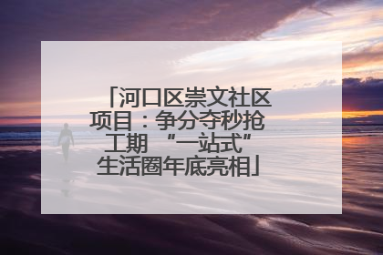 河口区崇文社区项目：争分夺秒抢工期 “一站式”生活圈年底亮相