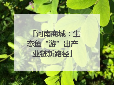 河南商城：生态鱼“游”出产业链新路径