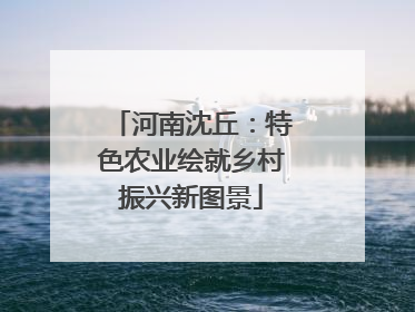 河南沈丘：特色农业绘就乡村振兴新图景