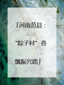 河南范县：“粽子村”香飘振兴路