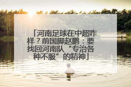 河南足球在中超咋样？前国脚赵鹏：要找回河南队“专治各种不服”的精神