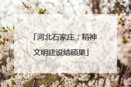 河北石家庄：精神文明建设结硕果