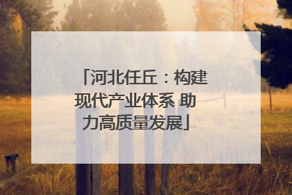 河北任丘：构建现代产业体系 助力高质量发展