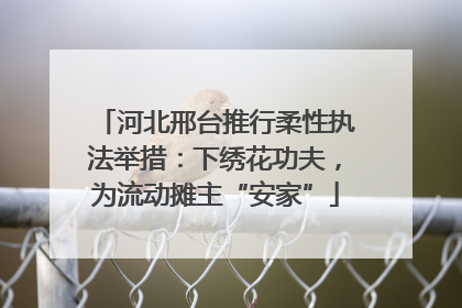 河北邢台推行柔性执法举措：下绣花功夫，为流动摊主“安家”