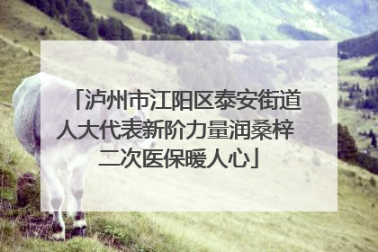 泸州市江阳区泰安街道人大代表新阶力量润桑梓 二次医保暖人心